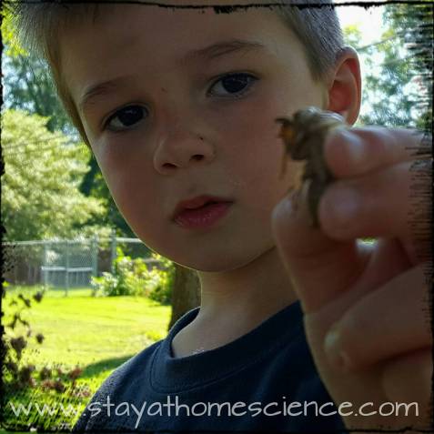 IMG_20170811_074235_066